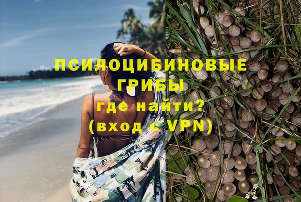 a pvp Вязники