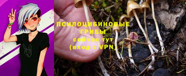 таблы Вяземский